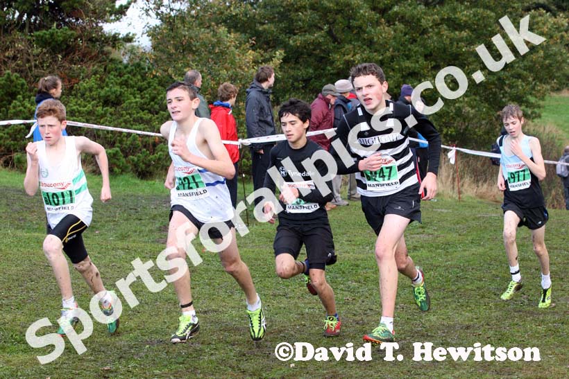 Under-15 boys, National Cross Country Relays, Berry Hill Park, Mansfield. Photo: David T. Hewitson/Sports for All Pics